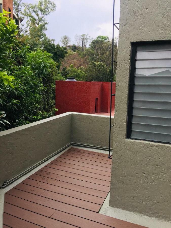 Beautiful Apartment Ahuehuetes メキシコシティ エクステリア 写真
